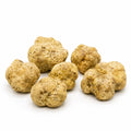 Big fresh Tuber magnatum white truffles with pale ochre surfaces and natural shape variation