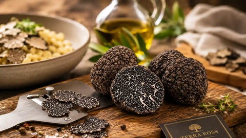 Ръководство за черен трюфел: Tuber melanosporum, сезон, аромат и употреба