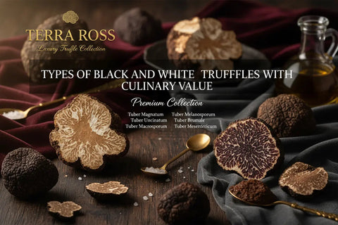 The Ultimate Guide to Black and White Truffles Terra Ross