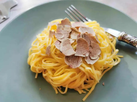 Tagliatelle with white truffle and Parmesan cream on mint green plate