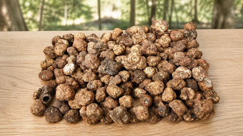 Whole Tuber borchii truffles on a light oak surface with a woodland background