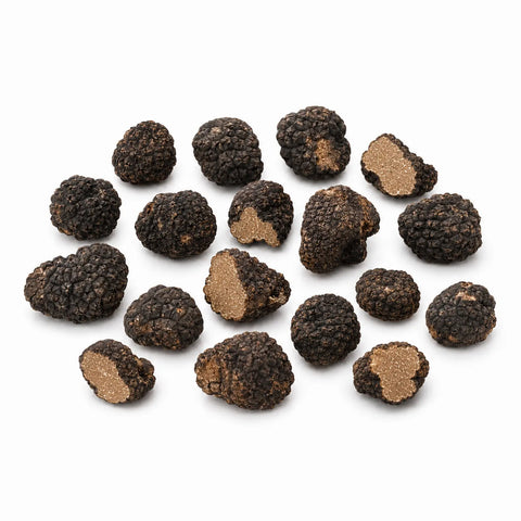 Fresh Tuber aestivum C Grade truffle pieces incorporated into a creamy sauce