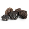 Small fresh Tuber melanosporum specimens selected for B Grade culinary use