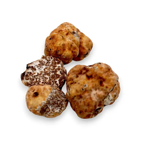 Irregularly shaped Fresh Spring Tuber Borchii truffles, B-grade spring white truffle