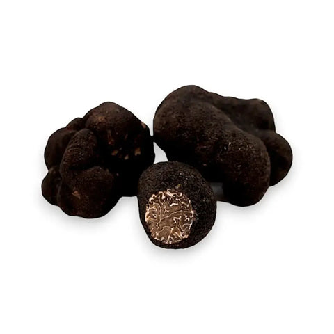 Fresh Winter Truffle Tuber Brumale with one cut open showing rich interior