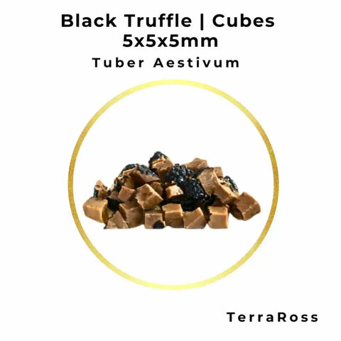 1 kg can of Summer Truffle Cubes 5 × 5 × 5 mm in Brine