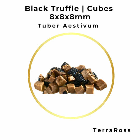 1 kg can of Summer Truffle Cubes 8 × 8 × 8 mm in Brine
