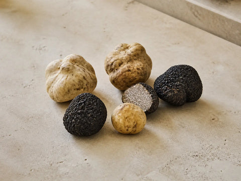 Whole white and black truffles with a cut black truffle showing its marbled interior on a light stone surface.